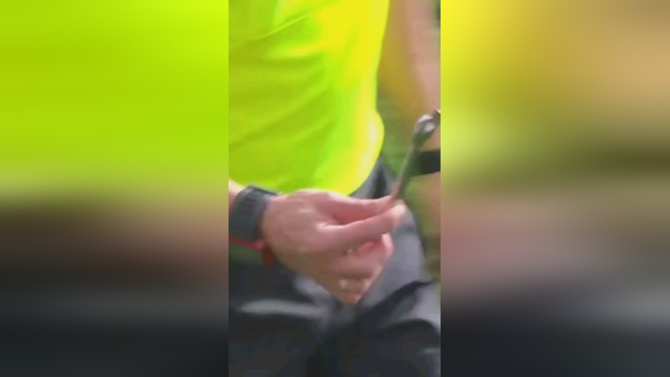 斯的加入